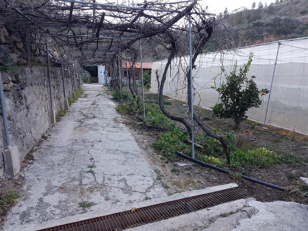 Casa Rural La Hoyita De Tunte San Bartolomé 외부 사진