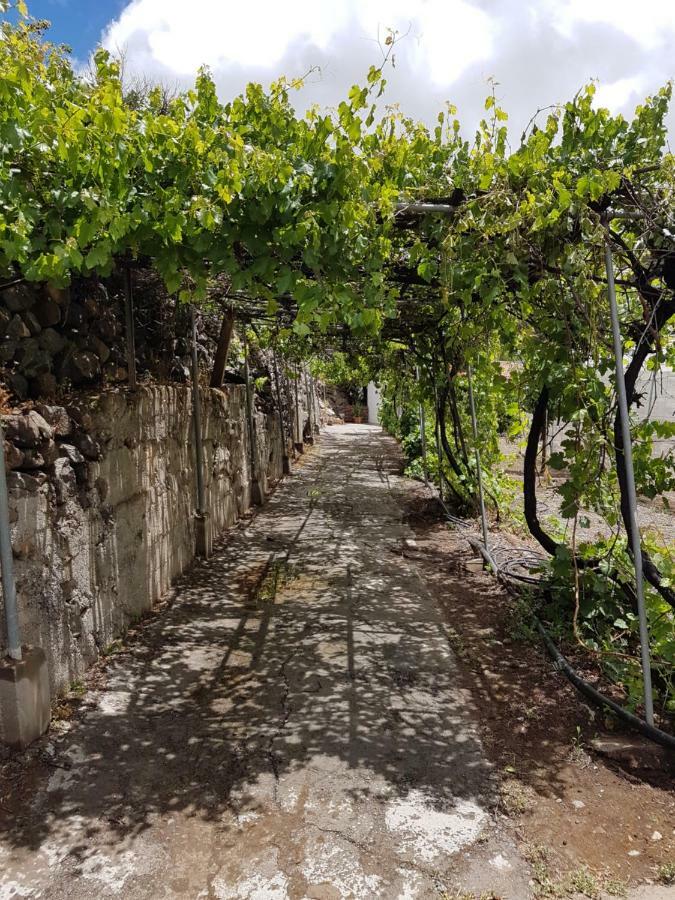 Casa Rural La Hoyita De Tunte San Bartolomé 외부 사진