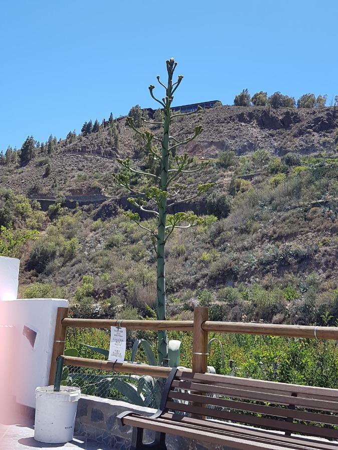 Casa Rural La Hoyita De Tunte San Bartolomé 외부 사진