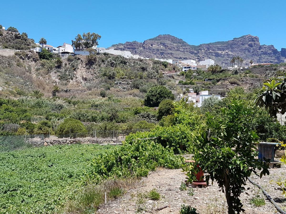 Casa Rural La Hoyita De Tunte San Bartolomé 외부 사진