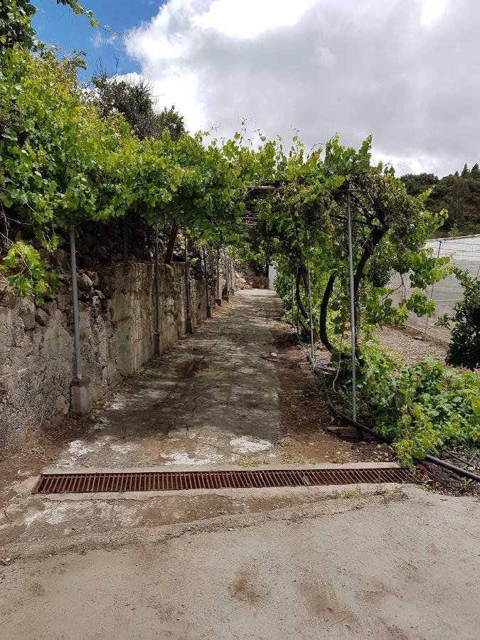Casa Rural La Hoyita De Tunte San Bartolomé 외부 사진